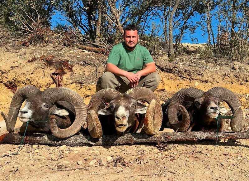 Resultado Montería Las Lomas muflones 2024 Cabezas Servicios de Caza